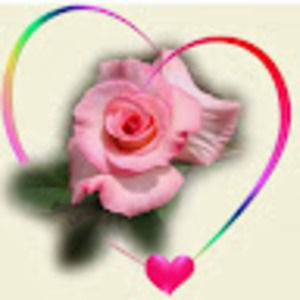 Meet your Posher, Teri